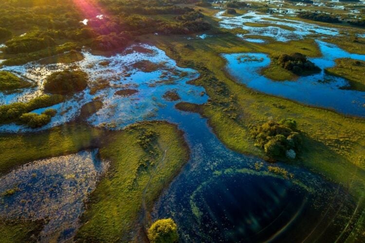 Foto vista de cima de rios e vegetação pantaneira