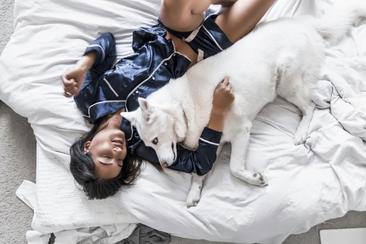 Mulher asiática usando pijama de manga comprida azul de seda e shorts, deitada em cama de lençóis brancos e abraçada com cão branco