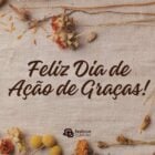 Foto de folhas e flores secas em volta dos dizeres feliz Dia de Ação de Graças