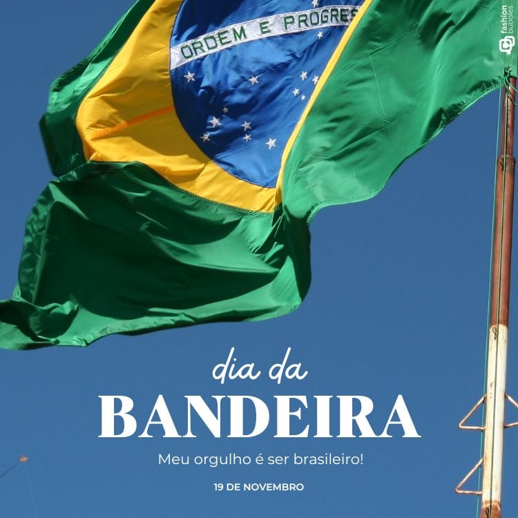 A imagem mostra a bandeira do Brasil tremulando ao vento, destacando suas cores verde, amarelo, azul e branco. O lema "Ordem e Progresso" está no centro. Abaixo, está escrito "dia da BANDEIRA" em letras grandes e "Meu orgulho é ser brasileiro! 19 de novembro" em letras menores, sobre um céu azul claro.