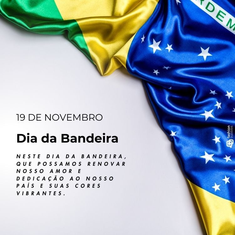 A imagem exibe a bandeira do Brasil parcialmente dobrada, com destaque para as cores verde, amarelo e azul, e as estrelas no círculo azul. À esquerda, em fundo branco, está escrito: "19 de Novembro, Dia da Bandeira". Abaixo, lê-se: "Neste Dia da Bandeira, que possamos renovar nosso amor e dedicação ao nosso país e suas cores vibrantes."