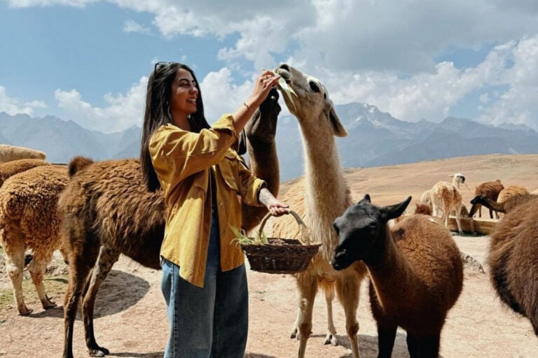 A imagem mostra uma mulher sorridente alimentando lhamas em um campo aberto. Ela veste uma camisa amarela e jeans, segurando um cesto com vegetais. O céu está parcialmente nublado, com montanhas ao fundo, criando uma atmosfera tranquila e natural.