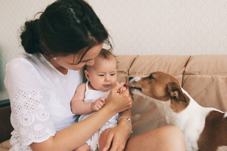 Mulher de pele clara usando blusa branca, sentada em sofá marrom com bebê no colo e cachorro marrom e branco 