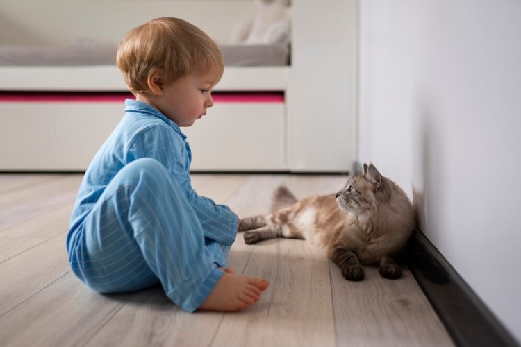 Bebê usando pijama azul, sentado brincando com gato cinza 