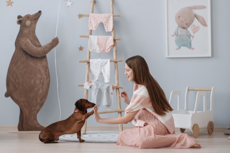 Mulher grávida de pele clara usando roupa rosa antigo, sentada no chão de quarto de bebê treinando um cachorro salsicha marrom a dar a pata 