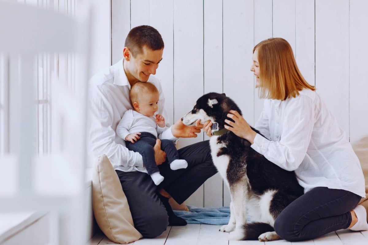 Homem de pele clara usando roupas claras, segurando bebê e mulher de pele clara com camisa branca e calça preta segurando cachorro branco e preto