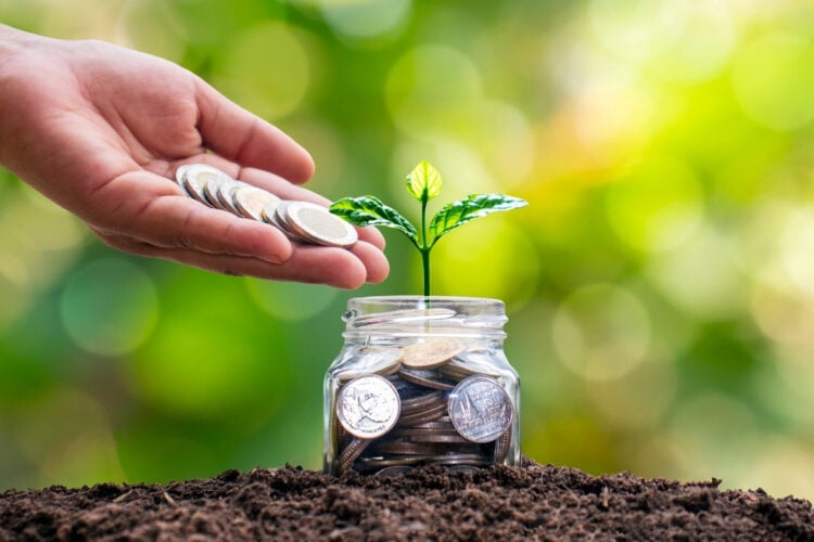 Uma mão deposita moedas em um pote de vidro cheio, plantado em solo fértil. Dele, brota uma planta verde, simbolizando crescimento financeiro e investimento. O fundo desfocado em tons de verde cria uma atmosfera de esperança e renovação.