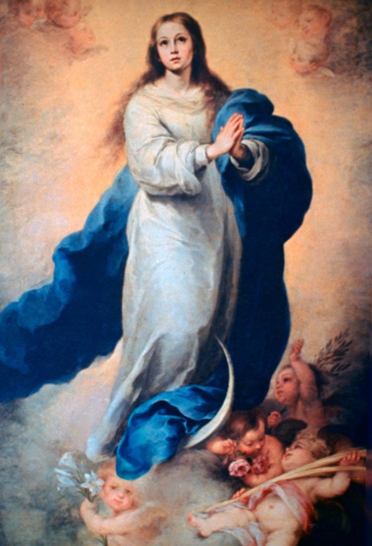 Nossa Senhora da Conceição está representada em vestes brancas e manto azul, com mãos juntas em oração. Ela está sobre uma lua crescente, cercada por anjos, simbolizando pureza e proteção. A expressão serena e o fundo celestial intensificam seu papel espiritual e maternal na tradição católica.