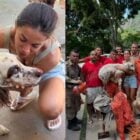 Anitta aciona bombeiros e resgata cachorro após desespero