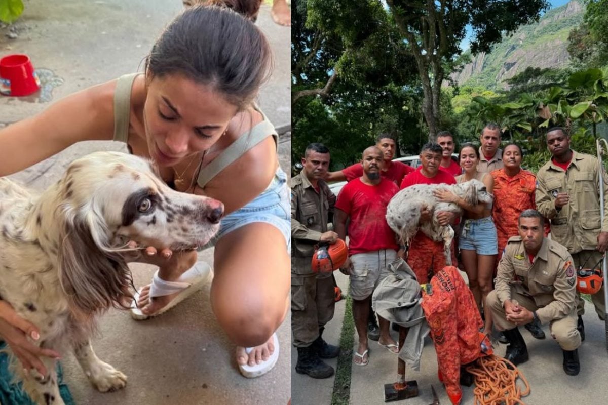 Anitta aciona bombeiros e resgata cachorro após desespero