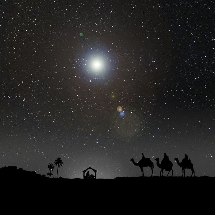 Sob um céu estrelado, três reis magos em camelos caminham em direção a um estábulo. A estrela brilhante ilumina o caminho, simbolizando esperança. Silhuetas de palmeiras e uma cena de natividade completam a paisagem noturna, evocando a jornada bíblica.